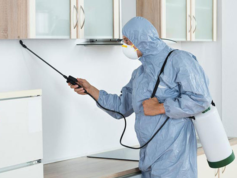 شركة نظافة, خدمات تنظيف, تنظيف منازل, تنظيف مكاتب, تنظيف شقق, رش الحشرات, تنظيف السجاد, تنظيف الكنب, تنظيف الموكيت, تنظيف المجالس, تنظيف فلل, تنظيف بالبخار, نقل الأثاث, شركة نقل عفش, نقل أثاث في الرياض, نقل عفش الرياض, شركة نقل أثاث في السعودية, خدمات نقل العفش, شركة نقل العفش في الرياض, مقاولات, تنظيف بالبخار, شركة تنظيف بالرياض, شركة نظافة بالرياض, شركة مقاولات العامة بالرياض. شركة مقاولات عامة, مقاولات عامة